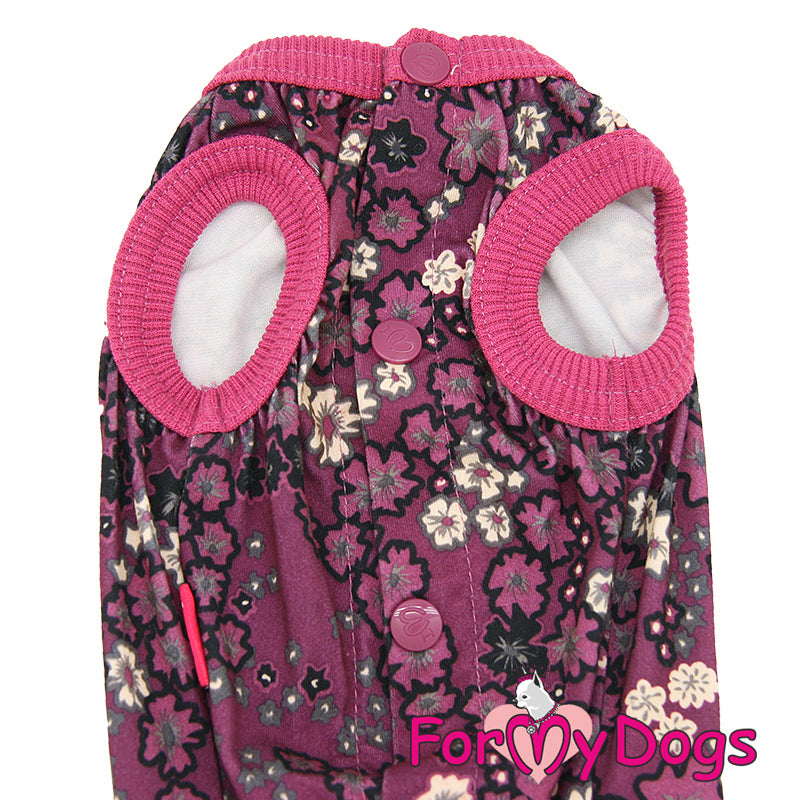 Samfella Fjólublá (Lóðarí eða aðgerðir)