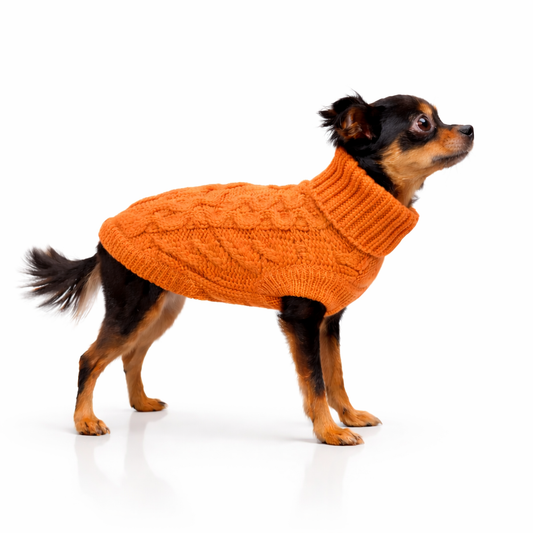 Peysa Orange / Stærð 8,10,16,18