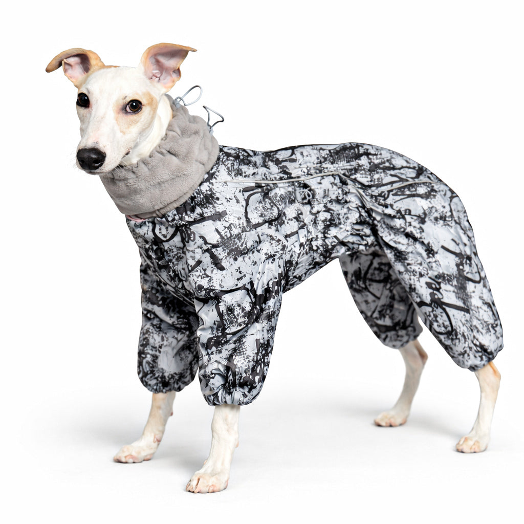 Rakki - Kuldagalli, Létt fóðraður / Stærð B1