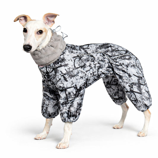 Rakki - Kuldagalli, Létt fóðraður / Stærð B1