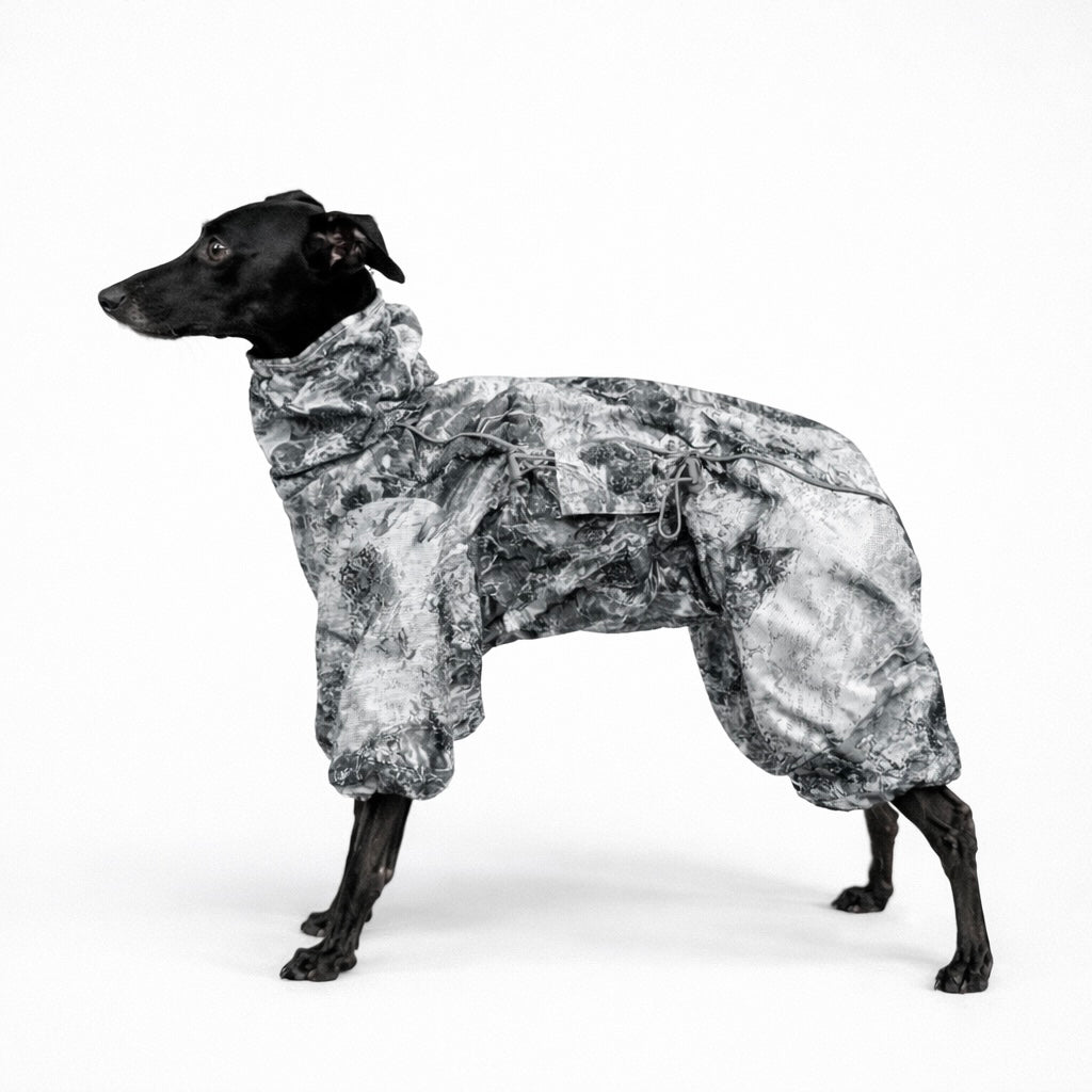 Rakki - Kuldagalli, Létt fóðraður / Stærð 10,12,14,16,18