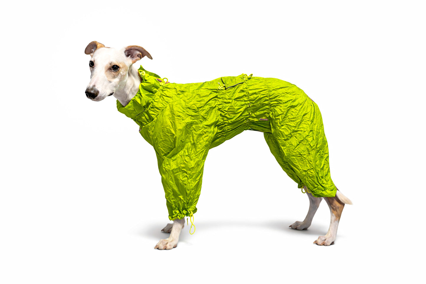 Rakki - Regngalli / Stærð B1