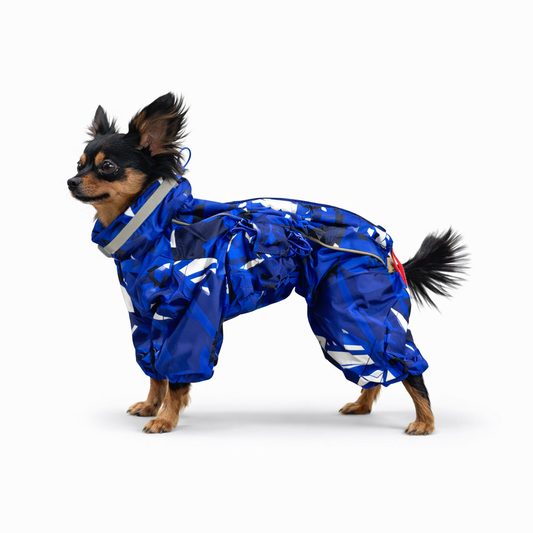 Rakki - Kuldagalli, Létt fóðraður / Stærð 10,18,20,22